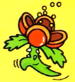 A Pompon Flower