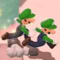 Double Luigi in Super Mario 3D World