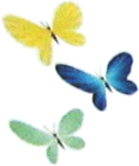 Artwork of the Butterflies in Super Mario Sunshine.