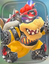 Bowser Costume 1