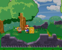 Fifth ? Block in Petal Meadows of Paper Mario: The Thousand-Year Door.