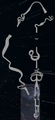 Thumbnail for version as of 22:21, June 10, 2025