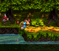 Riverside Race DKC3 shot 4.png