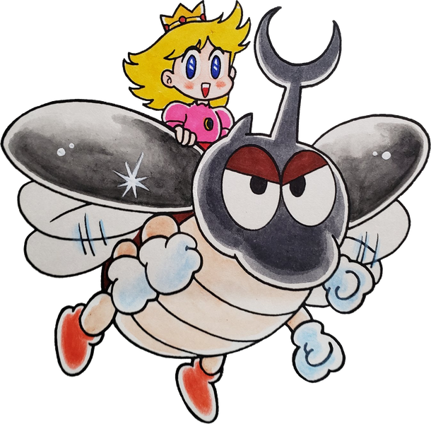 File:Battle Beetle KC Mario.png