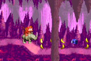 Photograph #2g Appears between a trail of bananas in the first Bonus Level. The photograph shows Donkey Kong sitting on Rambi on the 8th page of the Scrapbook.