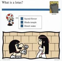 Lotus quiz card.jpg