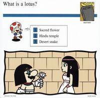 Lotus quiz card.jpg