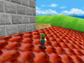 Luigi on the castle's roof