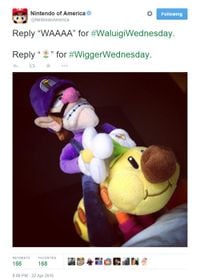 The infamous "Wigger Wednesday" typo