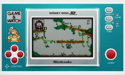 Donkey Kong Jr.