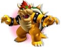 Bowser