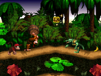 NM DKC DK Island Swing.png