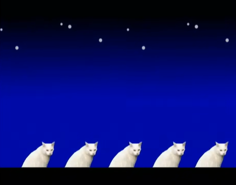File:WWMPG! Cats.png