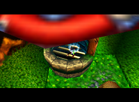 A setup for a Golden Banana for Chunky Kong in Fungi Forest.