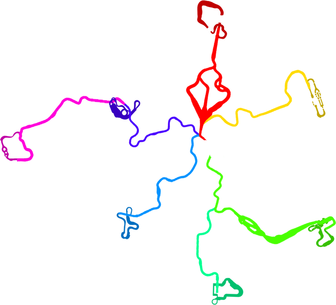 File:DK Pass Routes.png