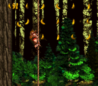 The second Bonus Level in Forest Frenzy from Donkey Kong Country