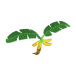 Tropical Glider from Mario Kart Tour