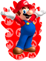 Mario & Sonic at the Olympic Winter Games (Nintendo DS)