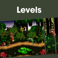 Cover image for the Levels playlist for Donkey Kong Country on Nintendo Music.