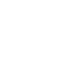 Swordfighter