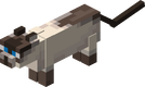 A Cat from Minecraft