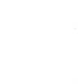 Moon Rally