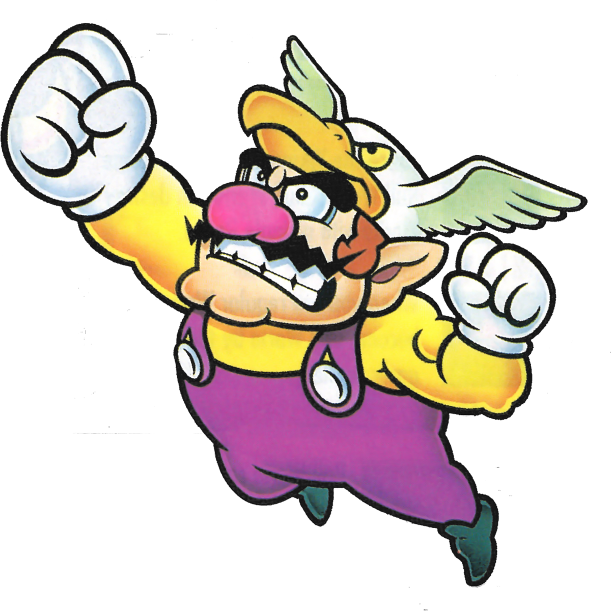 metal wario