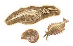 Artwork of fossils for Donkey Kong Bananza