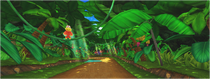 DK Jungle (Round 4)