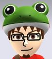 Mii Frog Hat.jpg