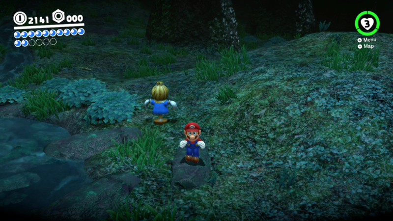 File:SMO Wooded Moon 29.png