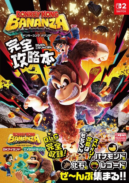 File:DKB Nintendo DREAM guide.jpg