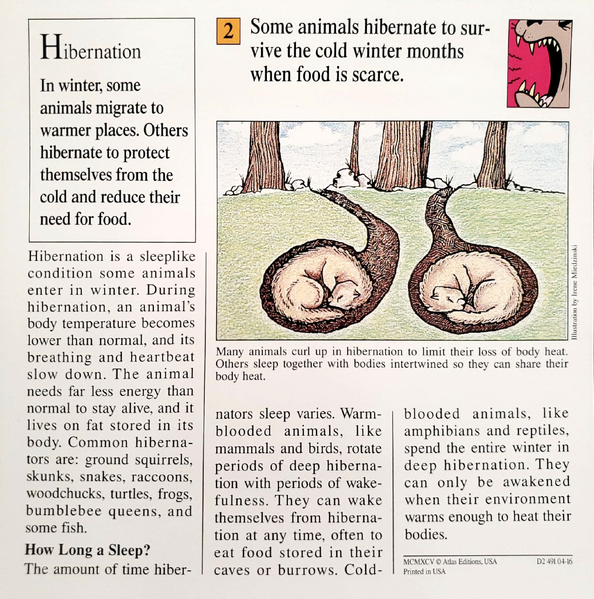 File:Hibernate quiz card back.png
