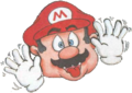 LACN Mario face.png