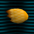 トリのハネ ("Bird wing")