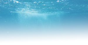 A poignant, translucent, royalty-free picture of an ocean. Or a really big backyard pool for all I know. I'll add it to my personal CSS once I figure out why the hell it suddenly loses transparency when I apply it to the background.