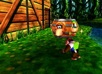 Chunky Kong holding a Tag Barrel due to a glitch