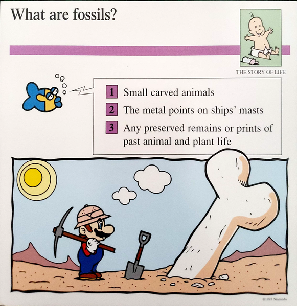 File:Fossils quiz card.png