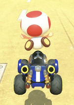 Toad performing a trick.
