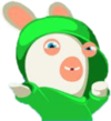 Rabbid Luigi Portrait