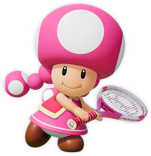 File:MTF Toadette artwork.png