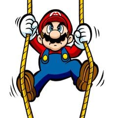 Gallery:Rope - Super Mario Wiki, the Mario encyclopedia