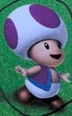 The purple Imposter Toad from the Super Mario Official Sticker Book