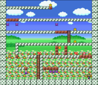 Level 9-5 map in the game Mario & Wario.