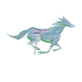 A running horse