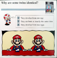 "Why are some twins identical?"