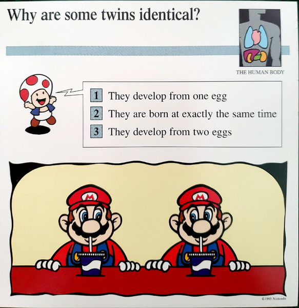 File:Twins quiz card.png