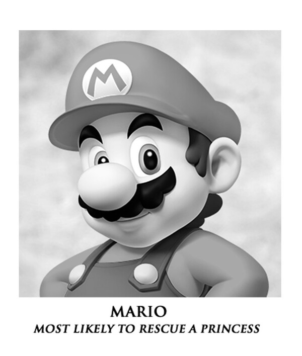 A Mushroom Kingdom Yearbook Super Mario Wiki, the Mario encyclopedia