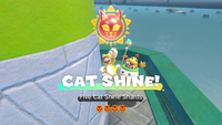 Collecting a Cat Shine in Bowser's Fury