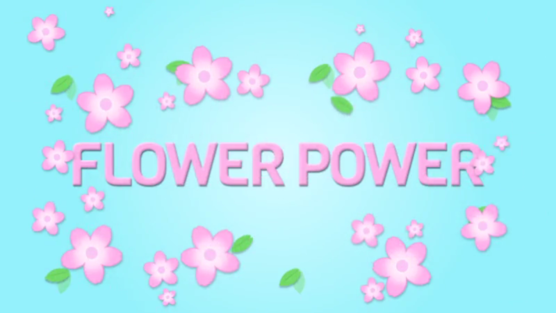 File:Fun Nintendo Spring-Themed Trivia Quiz result Flower Power.png